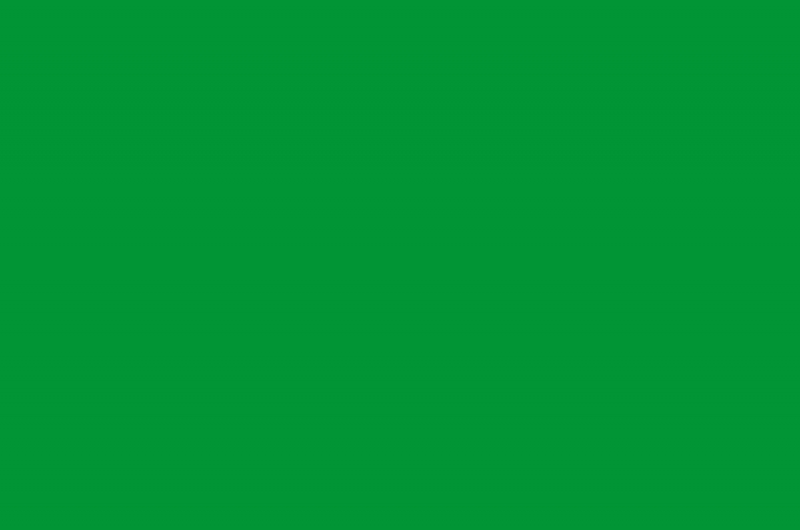 200-2539 пленка с\ка 45см Лак зеленый глянец d-c fix производство Германия фото